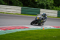 cadwell-no-limits-trackday;cadwell-park;cadwell-park-photographs;cadwell-trackday-photographs;enduro-digital-images;event-digital-images;eventdigitalimages;no-limits-trackdays;peter-wileman-photography;racing-digital-images;trackday-digital-images;trackday-photos